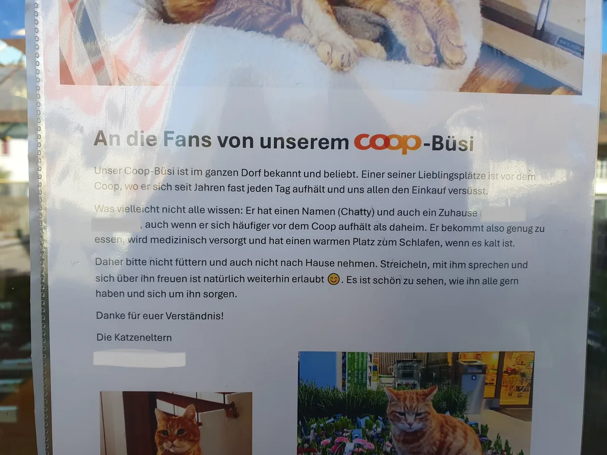 Büsi Chatty vor dem Coop in Bäretswil